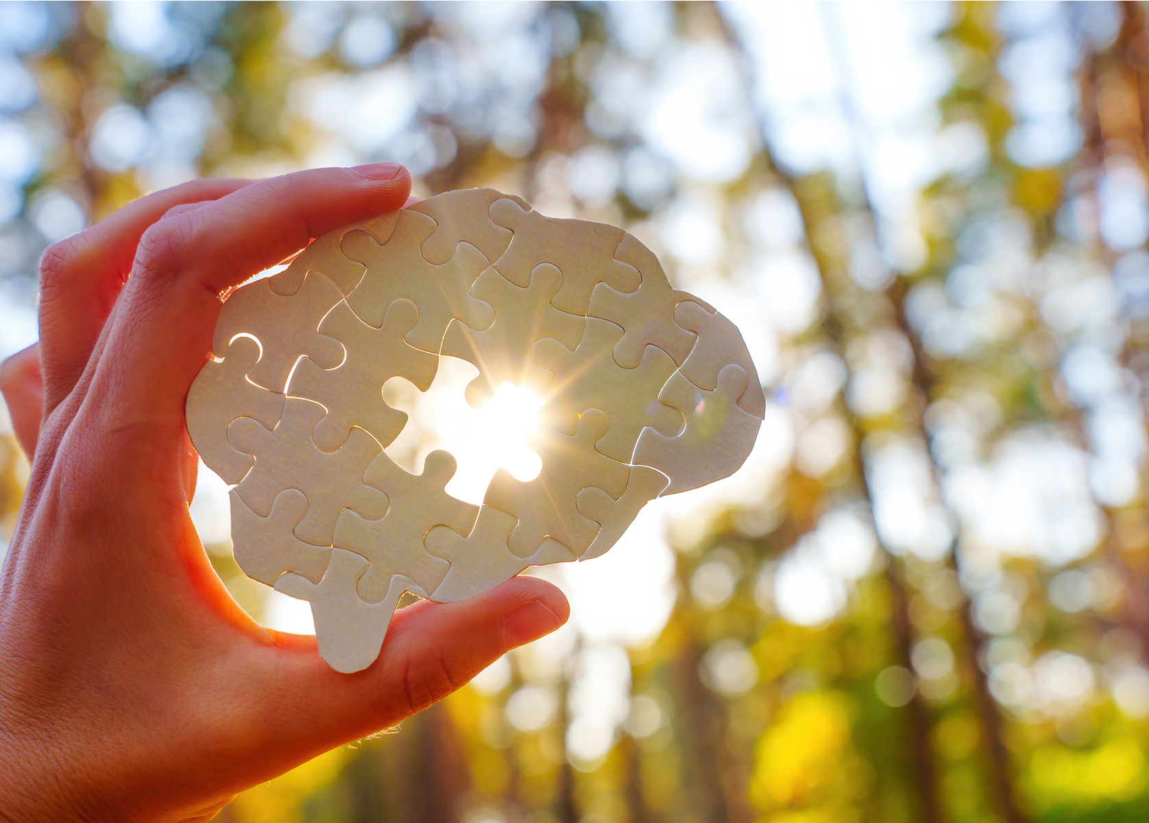 Puzzle piece in nature setting